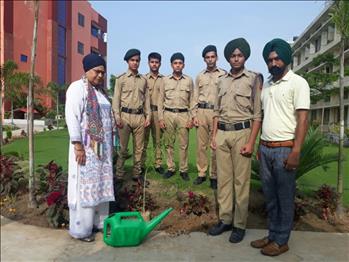 TREE PLANTATION BY NCC STUDENTS