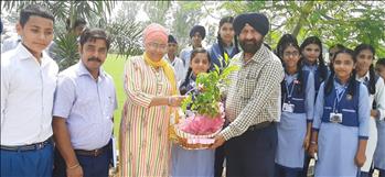 TREE PLANTATION BY INCOME TAX DEPARTMENT