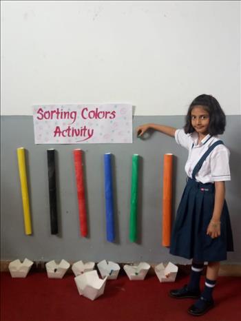 SORTING COLORS ACTIVITY (LKG)